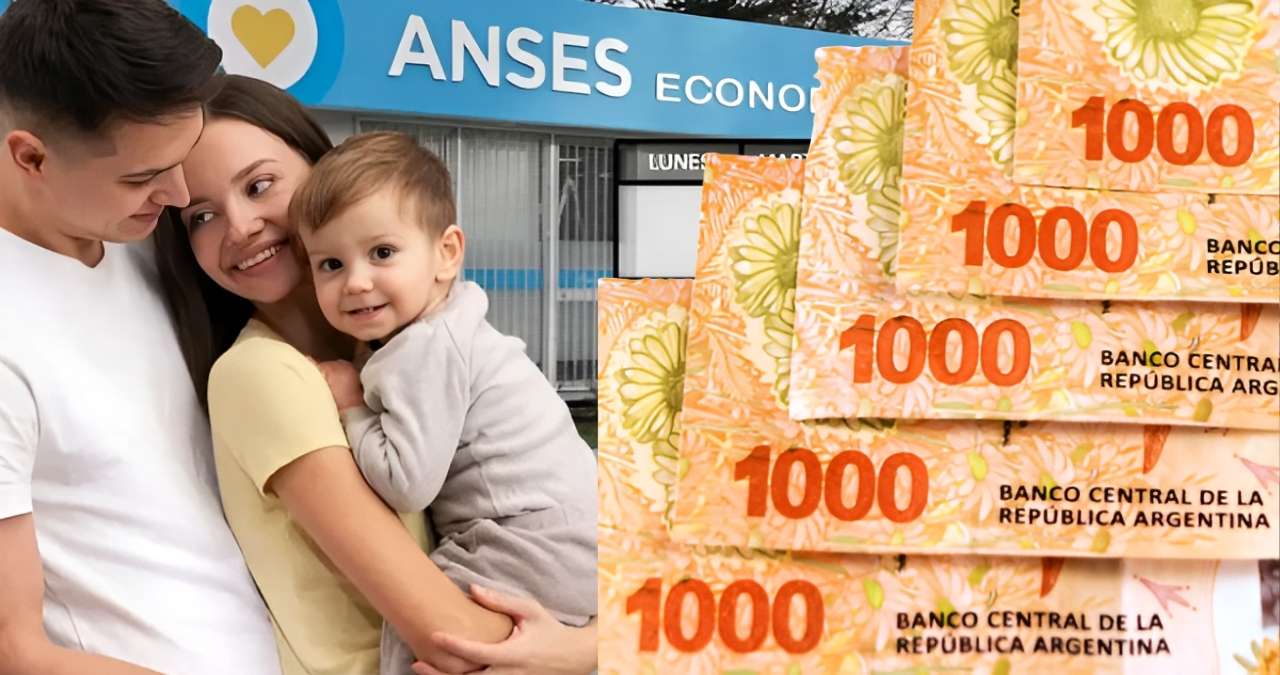 ANSES 2026 Motivos Principales por los que No se Cobra la Asignación Universal por Hijo